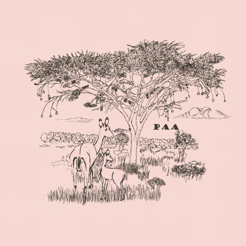 SAFARI WANYAMA SINGLES GAZELLES PETAL WITH CHARCOAL