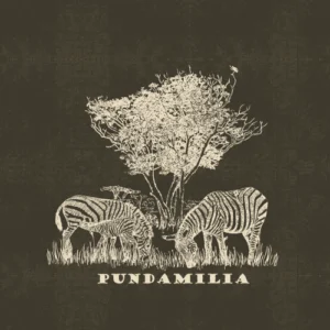 SAFARI WANYAMA SINGLES ZEBRAS CHARCOAL WITH CREAM