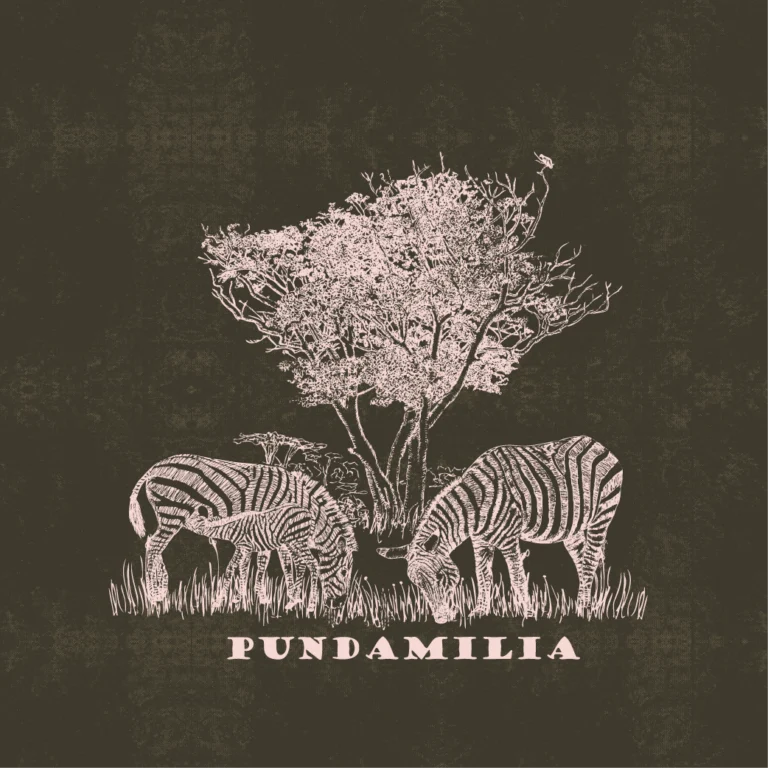 SAFARI WANYAMA SINGLES ZEBRAS CHARCOAL WITH PETAL