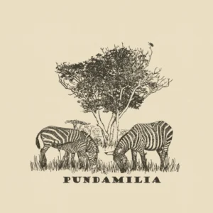 SAFARI WANYAMA SINGLES ZEBRAS CREAM WITH CHARCOAL