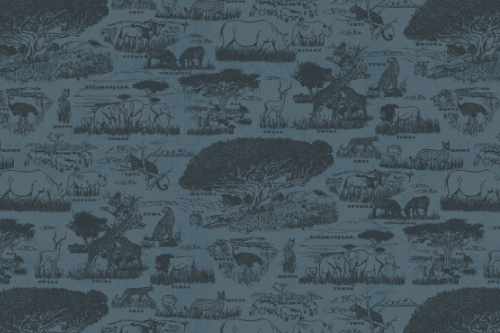 SAFARI WANYAMA TOILE DENIM WITH NAVY